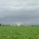 p5250010_k.jpg